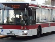 Autobusy wracają na ulicę Mateckiego