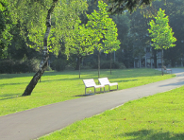 Będzie park na os. Łokietka