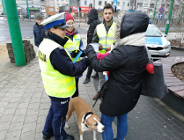 Bezpieczniej na drogach