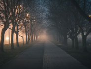 Bezpłatny transport w czasie smogu