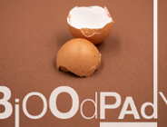 Bioodpady, czyli odpady organiczne luzem do brązowego pojemnika