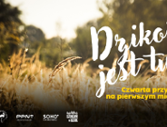 Chcesz działać? Dołącz do społecznej akcji sprzątania!