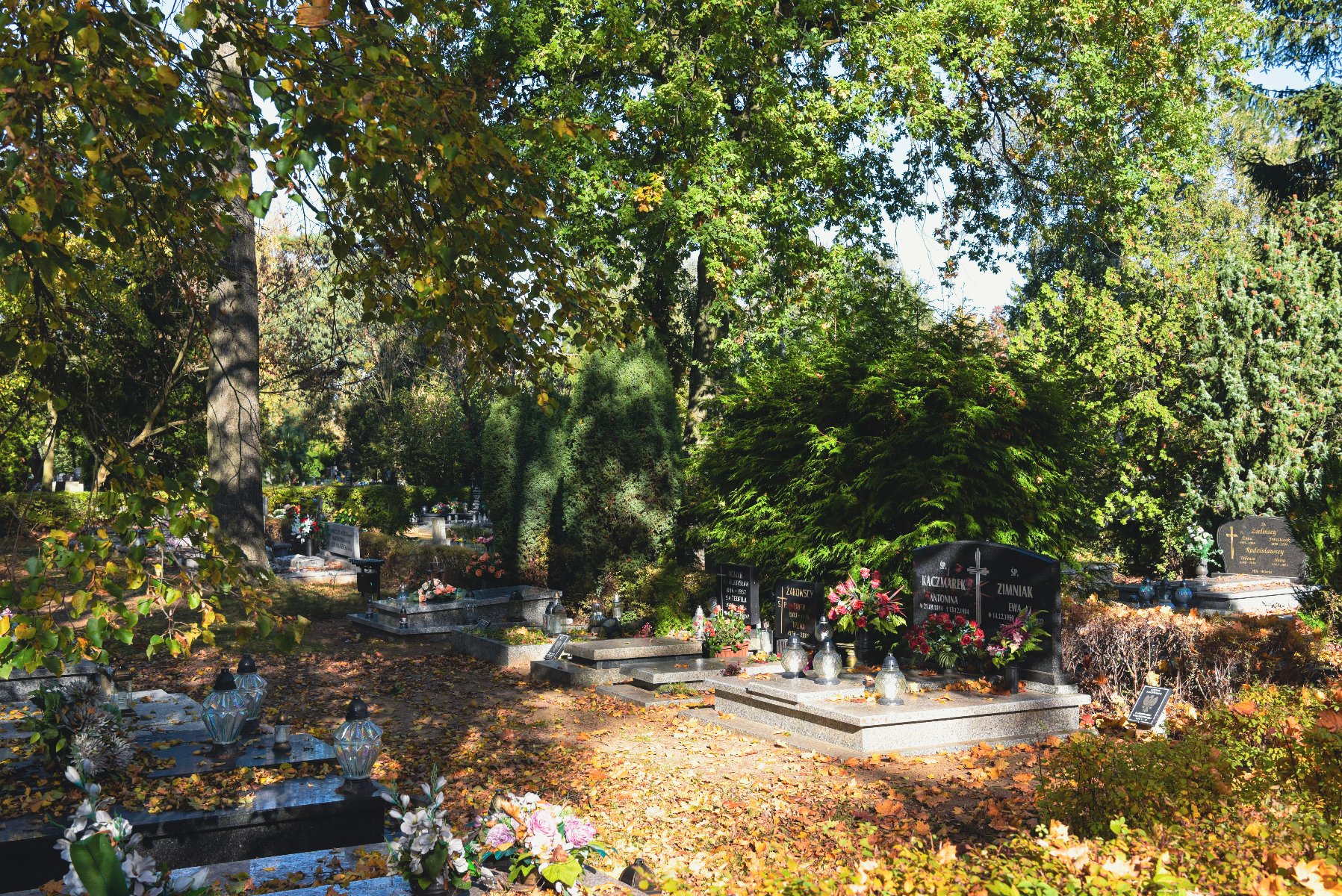 Cmentarz jesienią