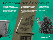 Co zrobić z choinką, kiedy przyjdzie czas rozstania?