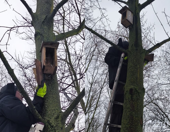 Czyszczenie budek lęgowych