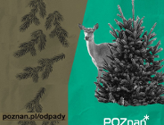 Dbajmy o nasze lasy! Dziś Dzień Leśnika i Drzewiarza