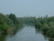 Dębina pod ochroną