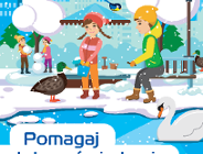 Dokarmianie ptaków