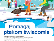 Dokarmianie ptaków, Ustawianie poidełek.