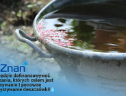Dotacja na gromadzenie deszczówki - kolejna edycja programu