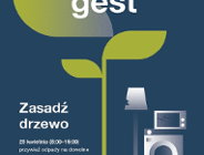 Drzewko za odpady na poznańskich Gratowiskach