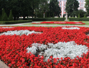 Dywan z blisko 4 tysięcy kwiatów w Parku Chopina