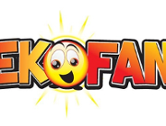 "EKOfan" - konkurs o tytuł "Poznańskiego EKOlidera Szkolnego 2011"