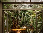 Ekomikołajki 2023 - bożonarodzeniowe klimaty wśród bananowców, palm i kaktusów...