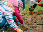Explorujemy uroki miejskiej zieleni!
