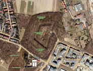 Fort VIIa
