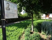 Fotograf Poznania