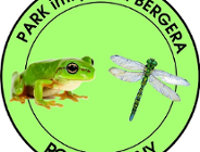 Gigantyczne ważki na Podolanach