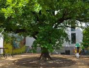 Głosuj na "Krzysztofa"