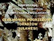 Halloween w Ogrodzie Botanicznym
