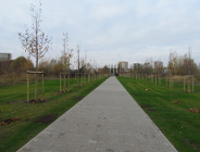 Inwestycje w parkach