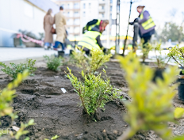 Jest wyremontowany chodnik - będzie też zieleń