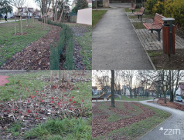 Jeszcze więcej zieleni przy Kutnowskiej. Najmłodsi skorzystają z labiryntu