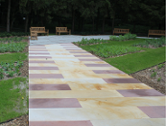 Już niebawem skorzystamy z Ogrodu Daliowego w Parku Cytadela