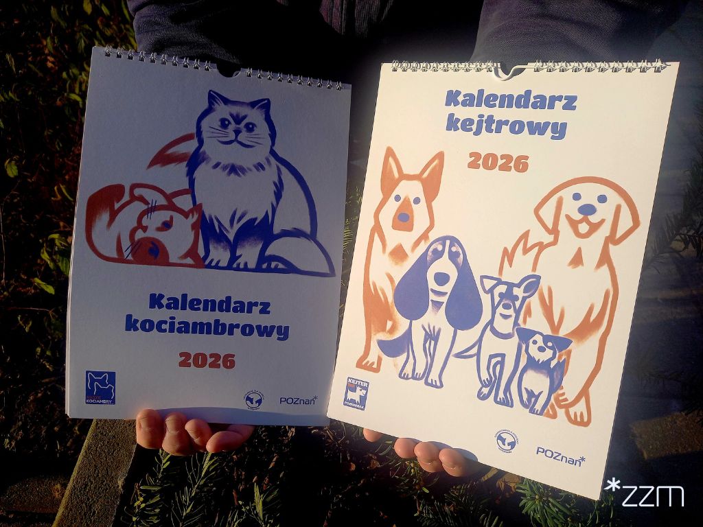 Kalendarz kociambrowy i kejtrowy