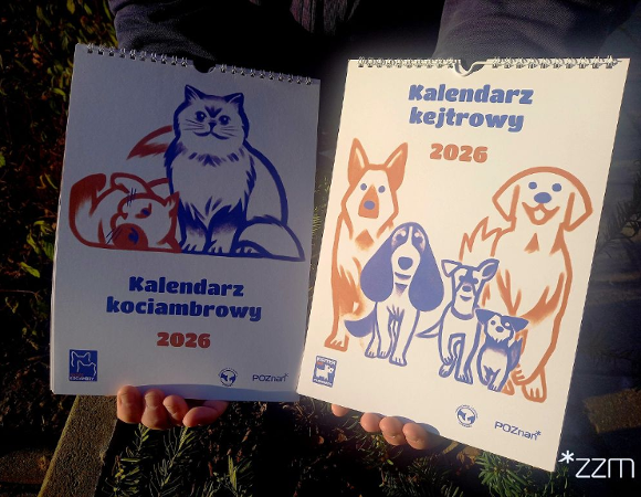 Kalendarz kociambrowy i kejtrowy