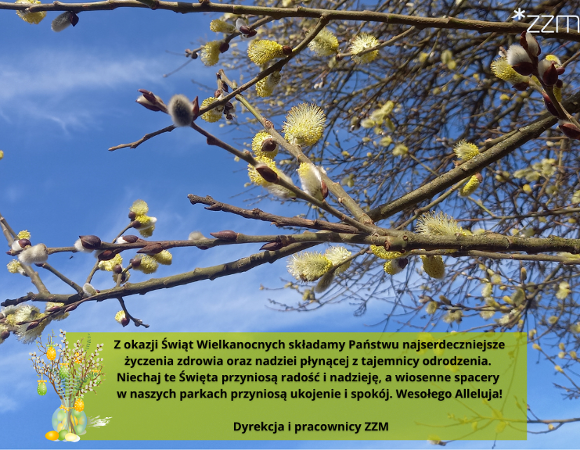 Kartka z życzeniami w tle gałązka drzewa z baziami