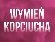 Kawka Bis - można już składać wnioski o dofinansowanie