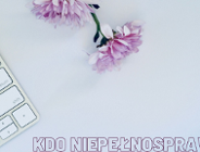 KDO przy Pełnomocniku Prezydenta Miasta Poznania ds. Osób z Niepełnosprawnością.