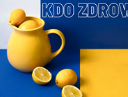 KDO przy Wydziale Zdrowia i Spraw Społecznych