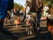 Kejterki przemaszerują w Parku Jana Pawła II