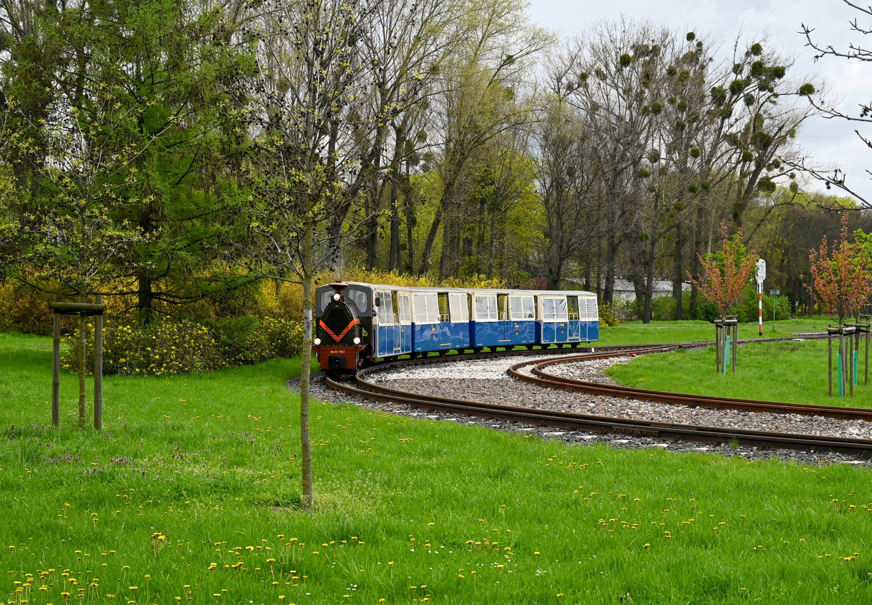 Kolejka Parkowa Maltanka na zakręcie torów w parku