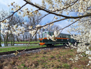 Kolejka Parkowa Maltanka rozpoczyna sezon