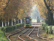 Komunikacja miejska w rejonie poznańskich cmentarzy