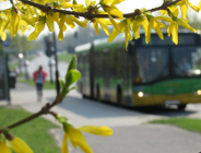 Komunikacja w Wielkanoc