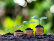 Konferencja Connecting Nature Enterprise Summit