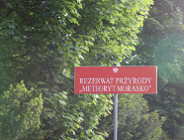 Koniec miejsc na spacer po Rezerwacie Meteoryt Morasko