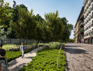 Konsultacje społeczne ws. przebudowy ul. Ogrodowej