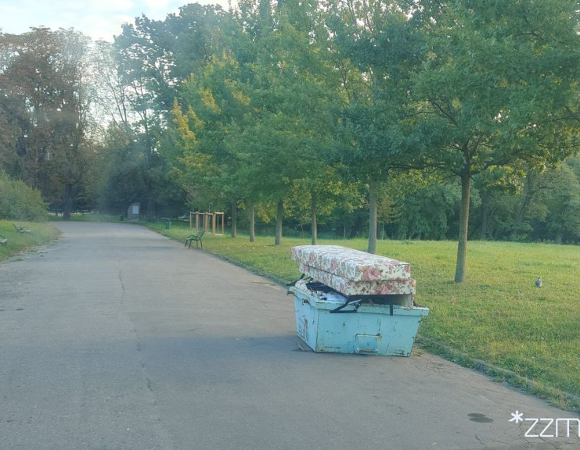 Kontener pozostawiony w parkowej alejce
