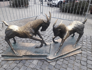 Koziołki, czyli tam i z powrotem