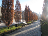 Kultura pozarządowa