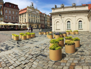 Kultura w rozkwicie