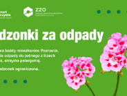 Kwiaty za odpady! Oddajcie odpady odbierzcie pelargonię