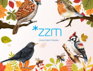 Liście to nie śmieci!