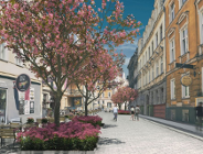 Metamorfoza ulicy Kwiatowej