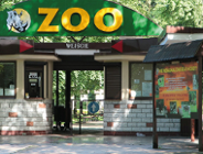 Miasto w sprawie dyrektorki poznańskiego zoo